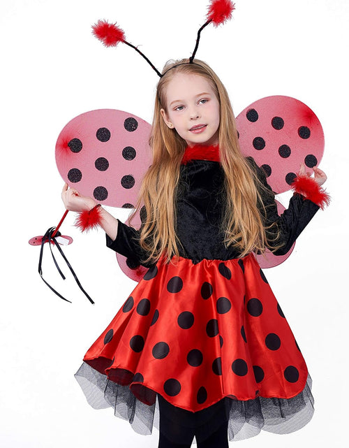 Load image into Gallery viewer, Ladybug Costume Ballerina Beetle Wings Fancy Dress up Outfit Ladybird Suit
