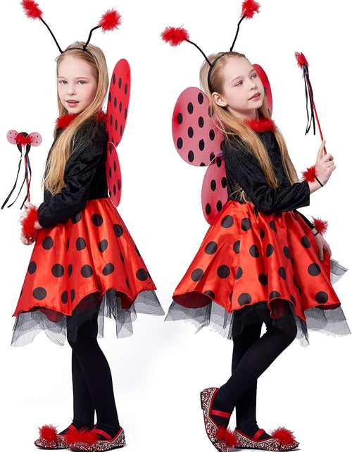 Load image into Gallery viewer, Ladybug Costume Ballerina Beetle Wings Fancy Dress up Outfit Ladybird Suit
