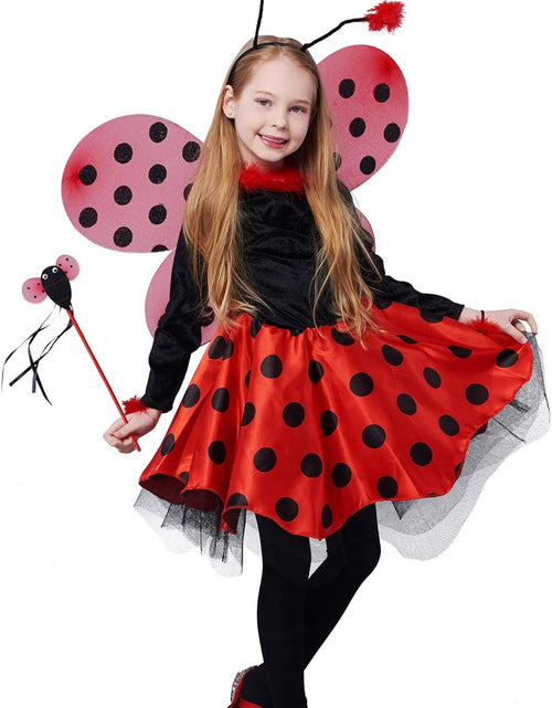 Load image into Gallery viewer, Ladybug Costume Ballerina Beetle Wings Fancy Dress up Outfit Ladybird Suit
