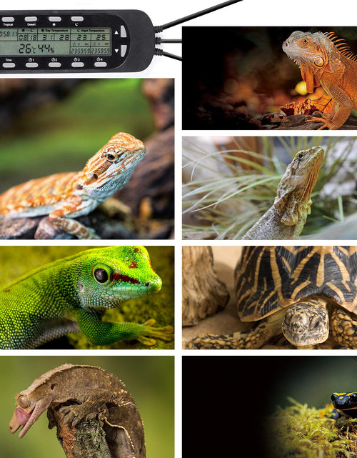 Load image into Gallery viewer, Reptile Thermostat Digital Outlet Temperature Timer Troptical or Desert Mode with Day Night Control for Aquarium Reptiles Terrarium Humidistat Mushroom Fermentation,Easy Setup (THC16)
